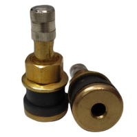 Válvula Camión Metálica Tubular Camión TR-501 Corta
